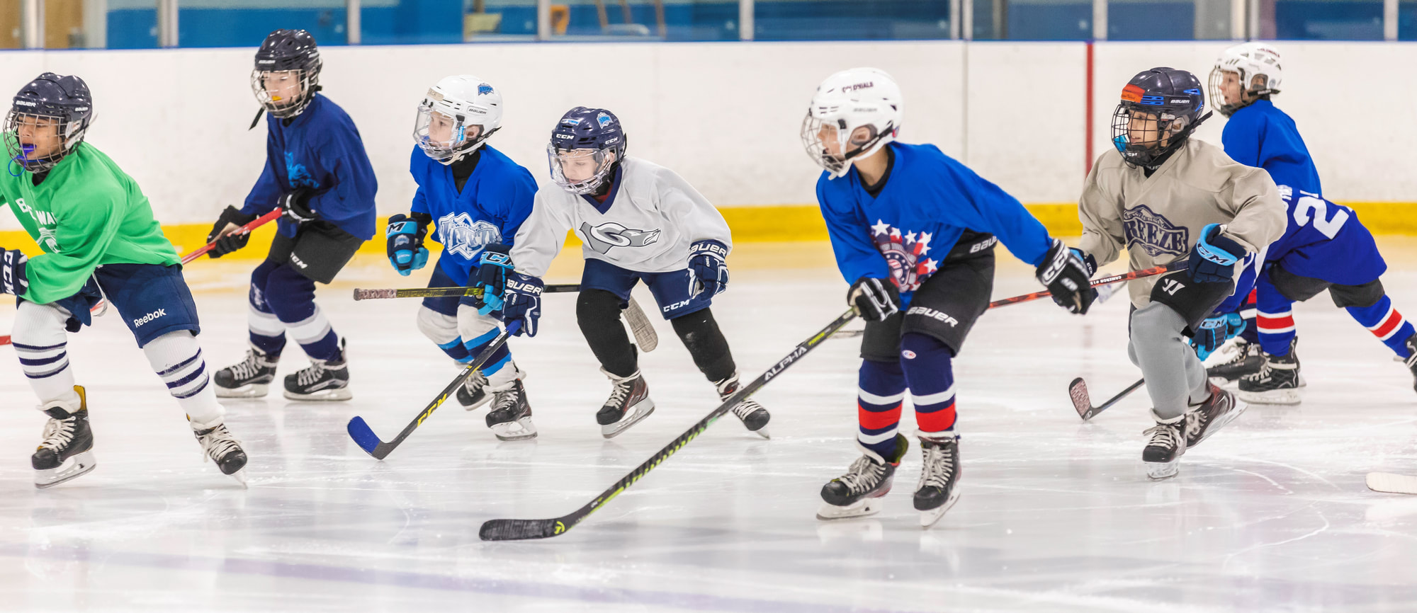 North American Bobcats – USA Hockey